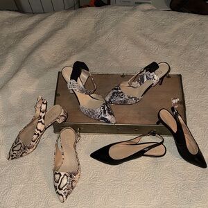 3 PAIRS of Sarto Black and Snake-Print Pointed Slingback Heels